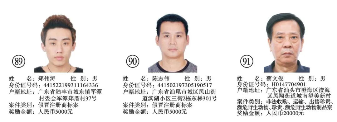 新建 DOC 文档40.png